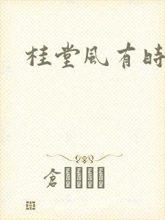 桂堂风有时封面