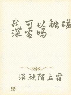 我可以触碰你的深处吗封面