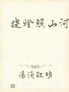 提灯照山河封面