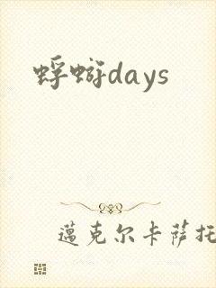 蜉蝣days封面