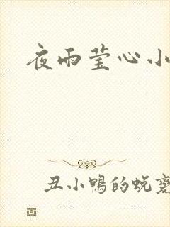 夜雨莹心小说