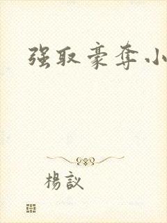 强取豪夺小说