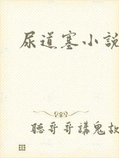 尿道塞小说