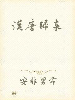 汉唐归来