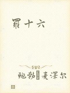 罗十六