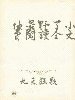 他最野了小说免费阅读全文封面
