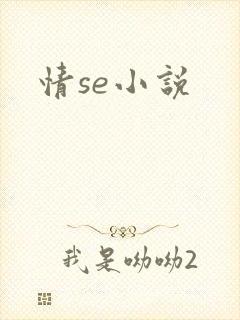 情se小说
