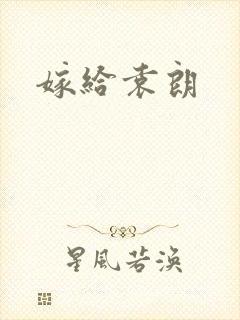 嫁给袁朗