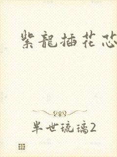紫龙插花芯方正