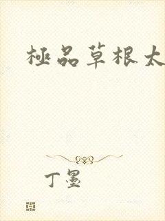 极品草根太子