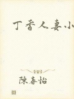 丁香人妻小说