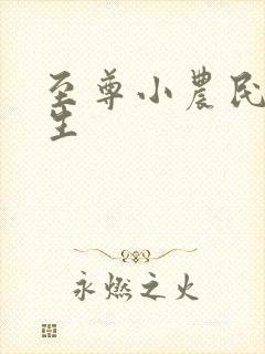 至尊小农民王木生