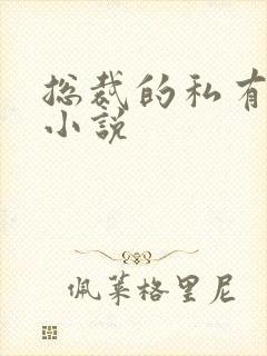 总裁的私有宝贝小说