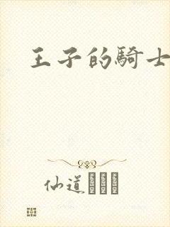 王子的骑士小说
