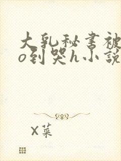 大乳秘书被cao到哭h小说