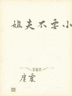 姐夫不要小说