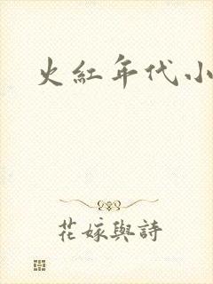 火红年代小说