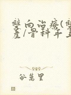 双向治疗(双/产/骨科年上)