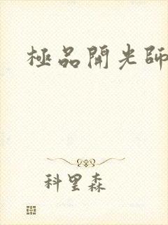 极品开光师封面