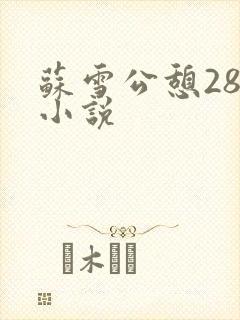 苏雪公憩28篇小说封面