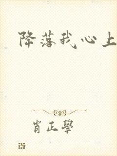降落我心上