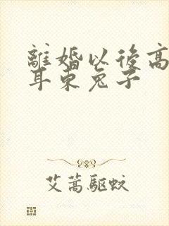 离婚以后高干 耳东兔子封面