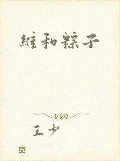 维和粽子封面