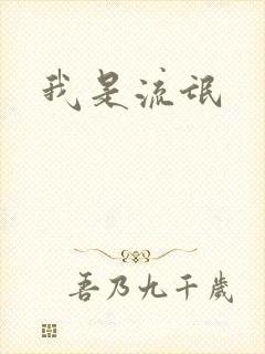 我是流氓
