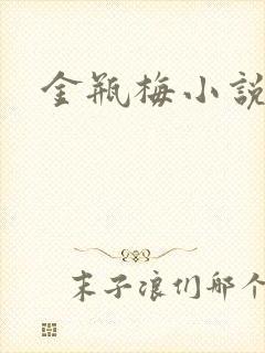 金瓶梅小说下载