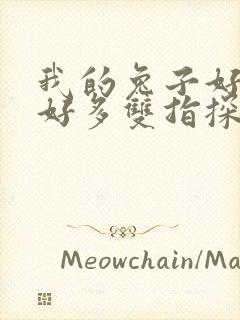 我的兔子好软水好多双指探洞小说