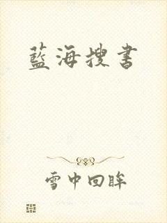 蓝海搜书