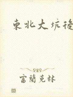 东北大坑后续2封面