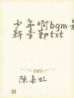 少年啊bgm最新章节txt封面