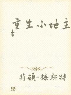重生小地主txt