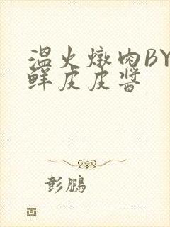 温火炖肉BY海鲜皮皮酱