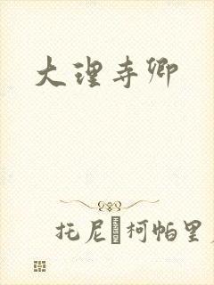 大理寺卿封面
