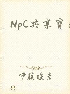 NpC共享宝贝