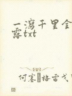 一泻千里金银花露txt封面
