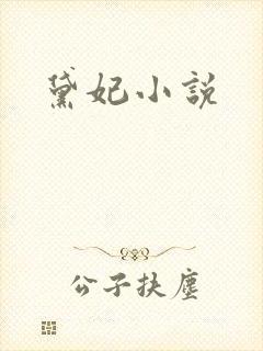 黛妃小说
