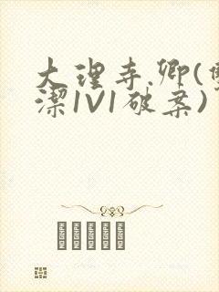 大理寺.卿(双洁1V1破案)封面