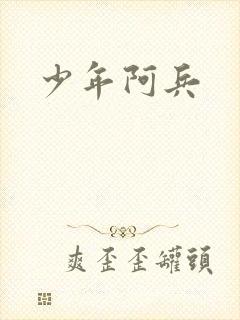 少年阿兵封面