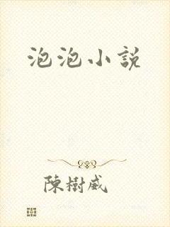 泡泡小说