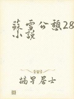 苏雪公憩28篇小说封面