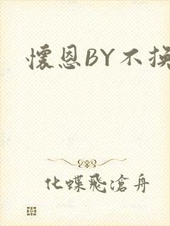 怀恩BY不换