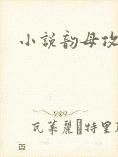 小说韵母攻略
