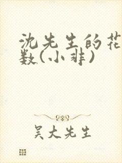 沈先生的花式调数(小非)封面