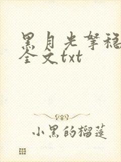 黑月光拿稳小说全文txt封面