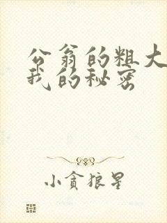 公翁的粗大放进我的秘密