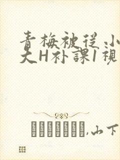 青梅被从小摸到大H补课1视频