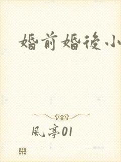 婚前婚后小说